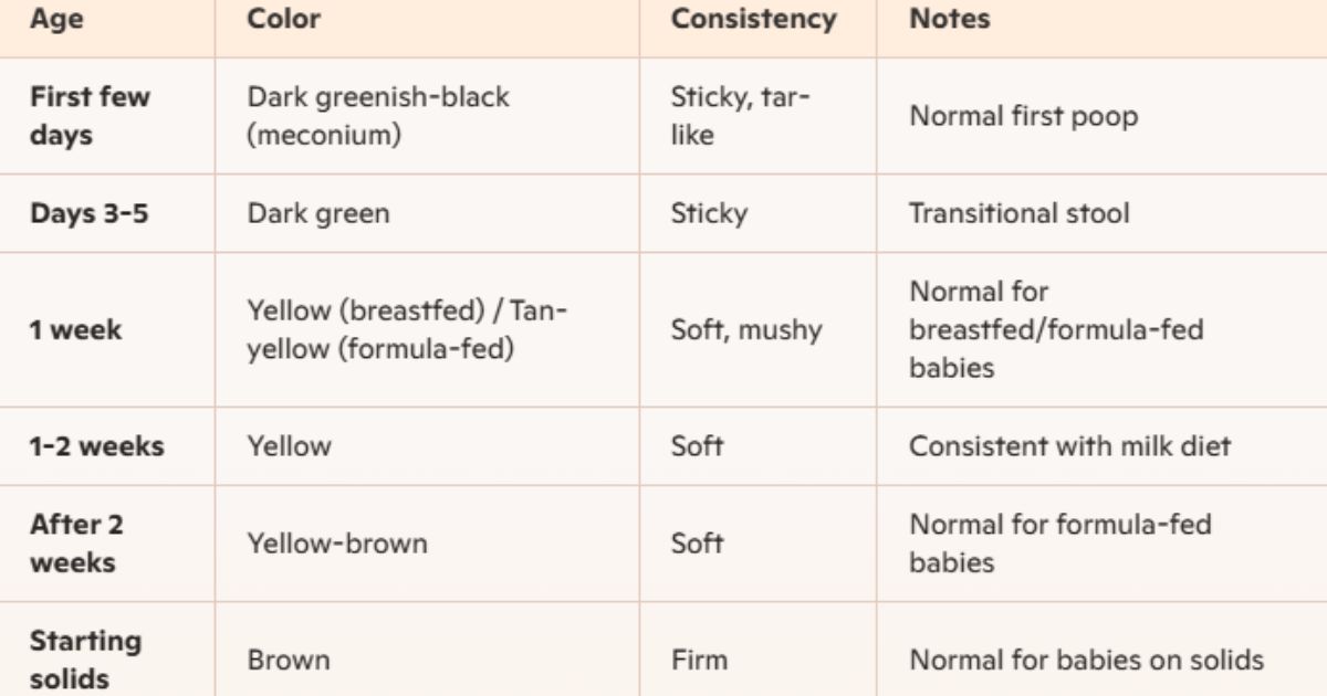 Baby Poop guide