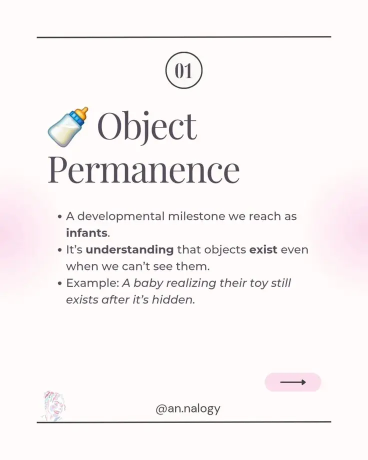 Object Permanence