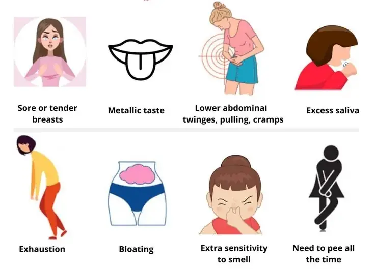 Early pregnancy symptoms are subtle and overlap with everyday experiences — which is exactly why most women dismiss them.